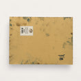 Load image into Gallery viewer, Shared Breath: Oil Painting
