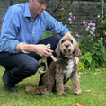 Load image into Gallery viewer, Handmade flax rope dog leash (made to order)
