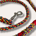 Load image into Gallery viewer, Handmade rope slim dog leash in rainbow - style 2 (made to order)
